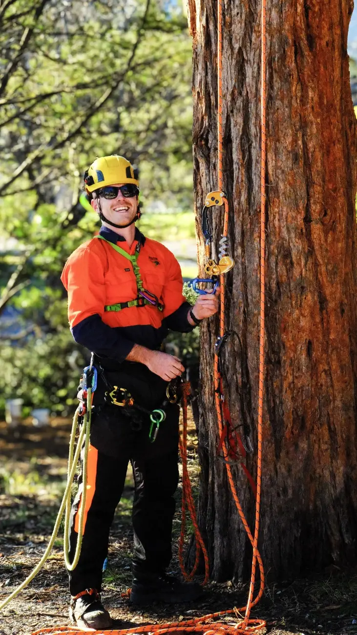 Abloom Tree Care arborist in full climbing kit smiling at the base of a large tree in Canberra