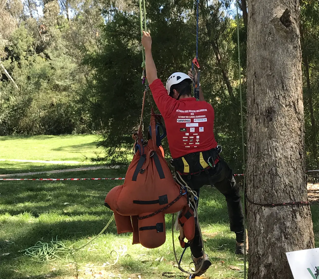Abloom Tree Care arborist preparing climbing and rigging equipment at the base of a tree