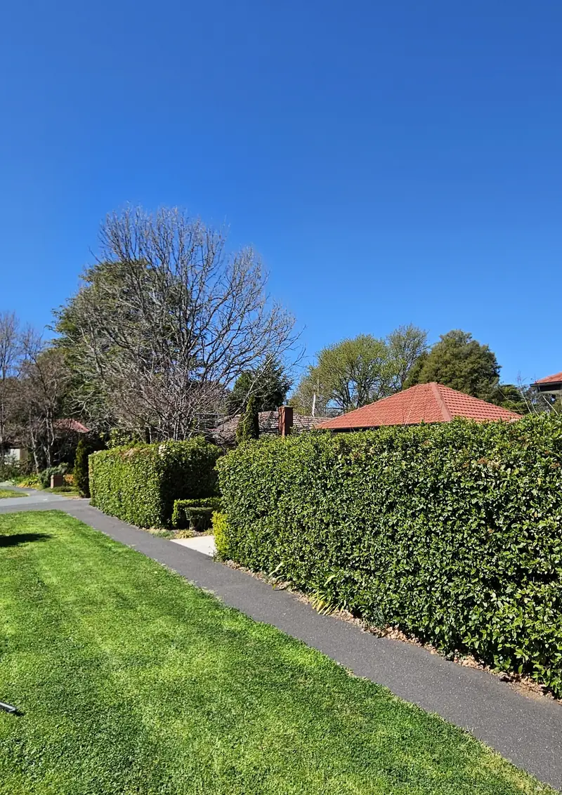 Neatly pruned hedge along a garden path in a Canberra suburb
